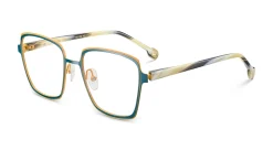 NAYAN
